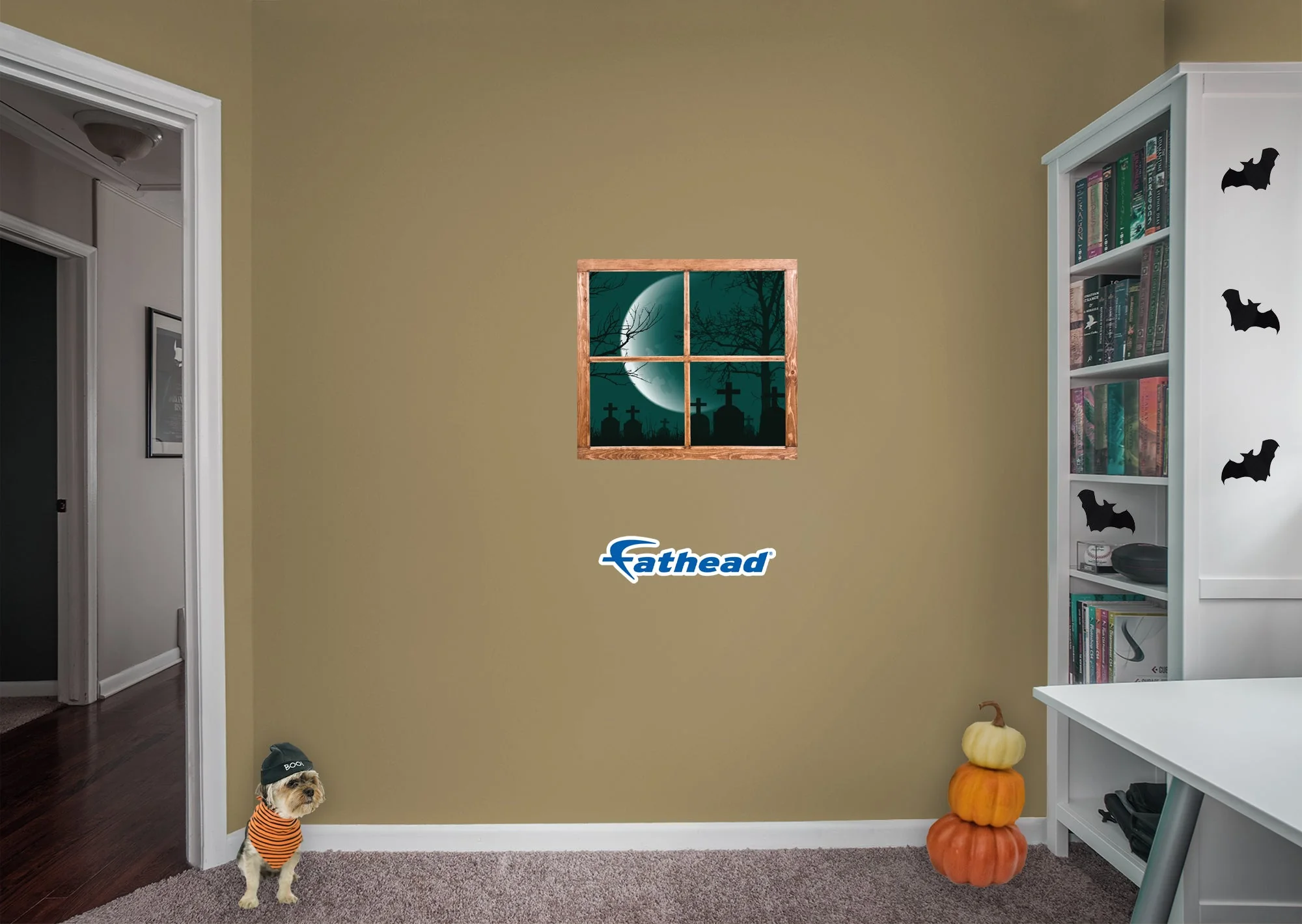 Thumbnail 5