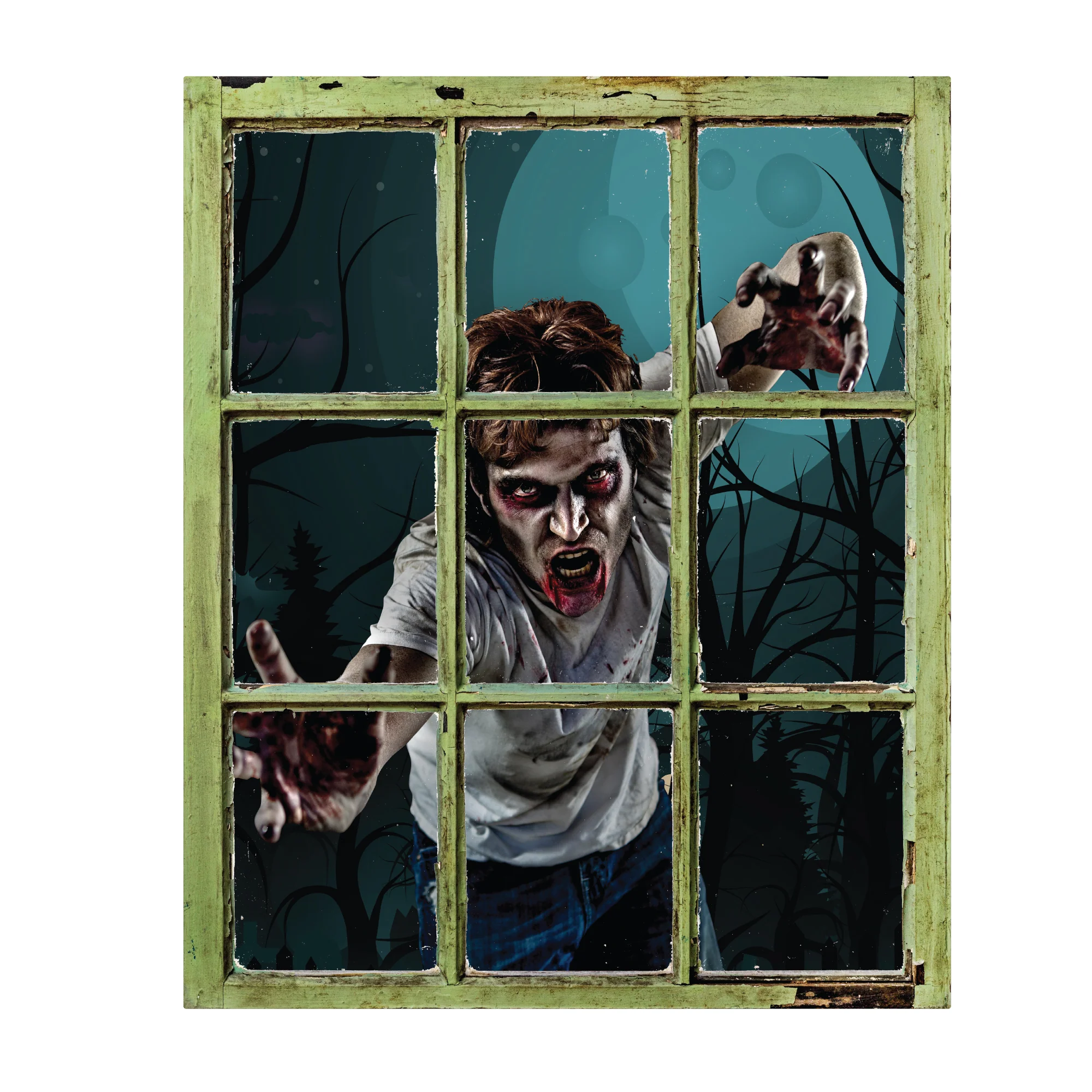 Thumbnail 5